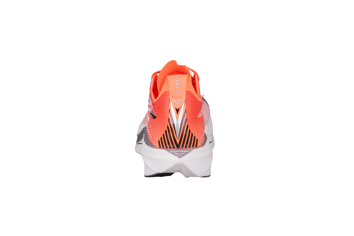 Flame 5 Future