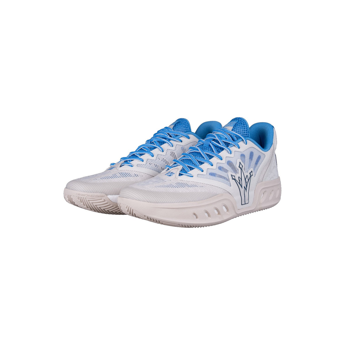 M'S Training Basketball