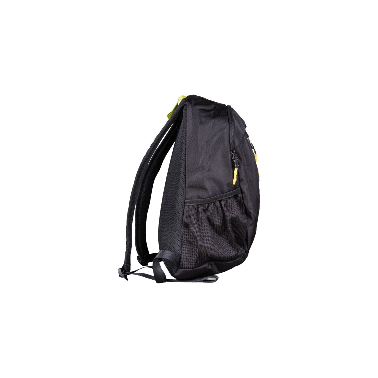 Big 3 Backpack