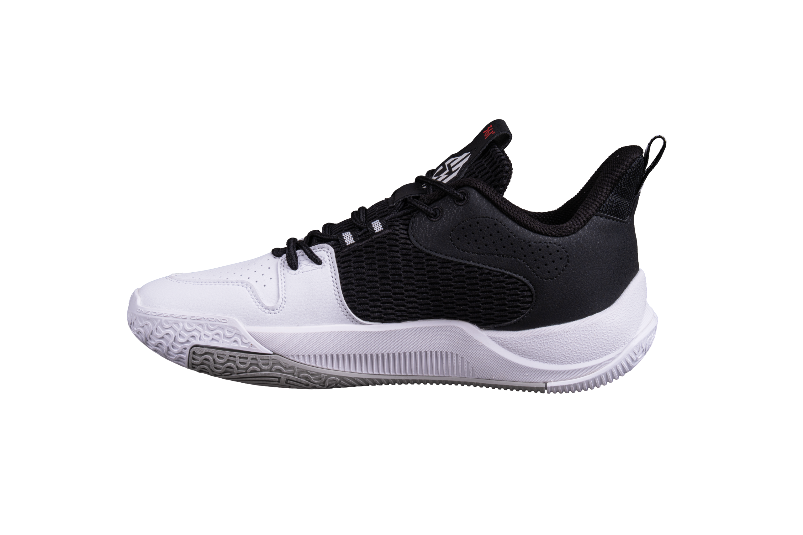 Basketball shoes - DVD Team 2